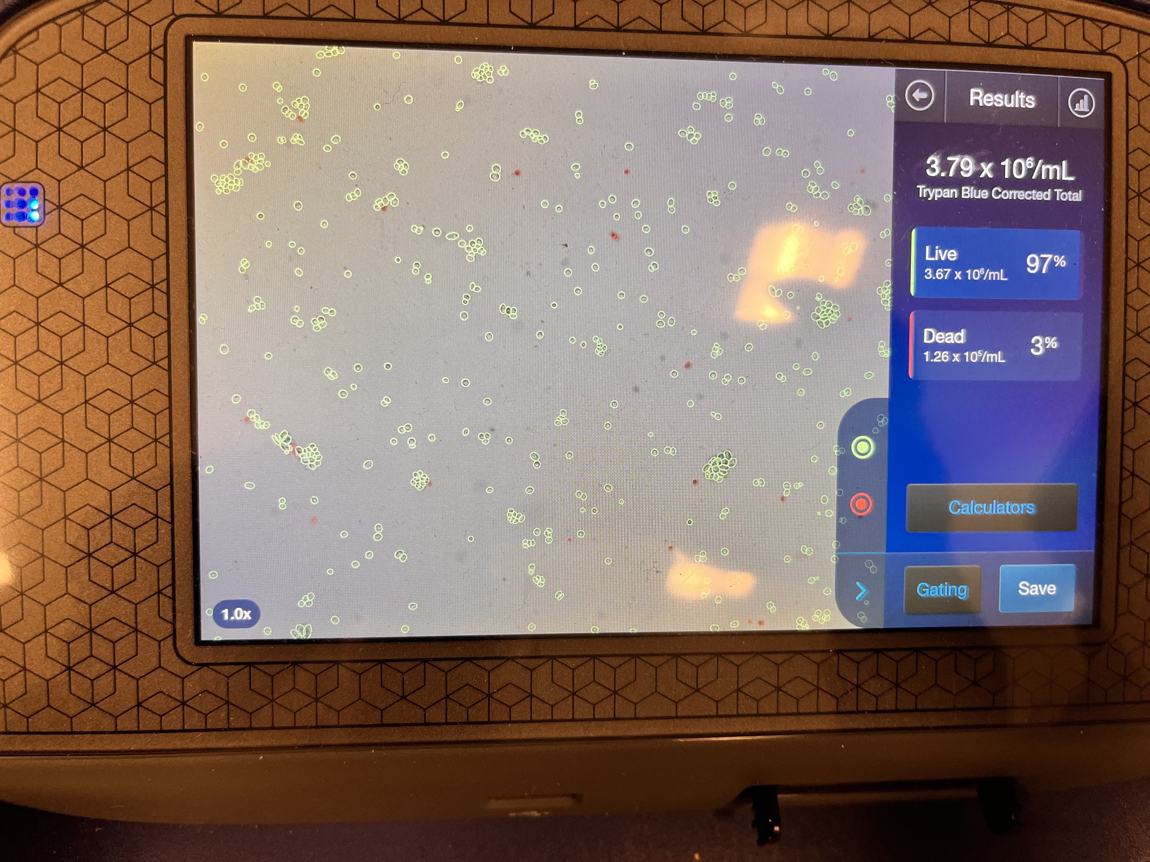 Automated cell counter screen showing 97 percent live cells and 3 percent dead cells