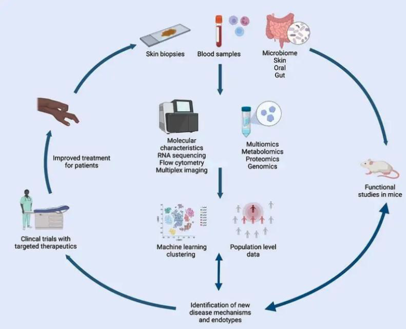 Dermatology workflow diagram connecting patient samples, multiomics, machine learning, and therapeutics